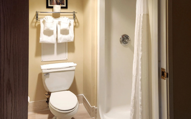 Comfort Inn & Suites Mount Pocono