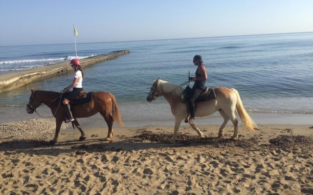 Arion Stables & Apartments