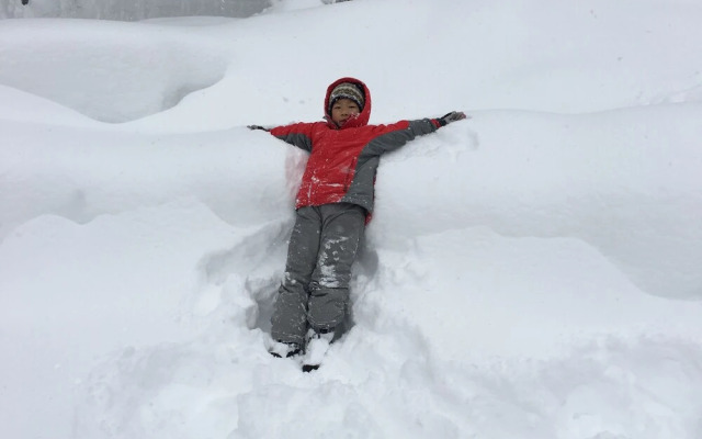 Villa Antelope Hakuba