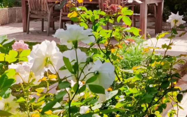 Yanchep Seaside Cottage