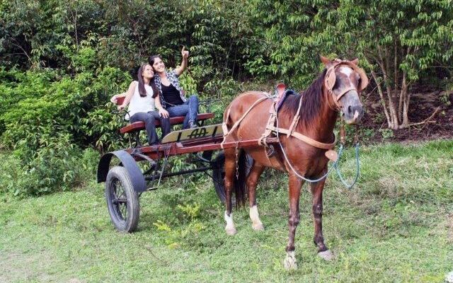 Aymara Hotel Fazenda