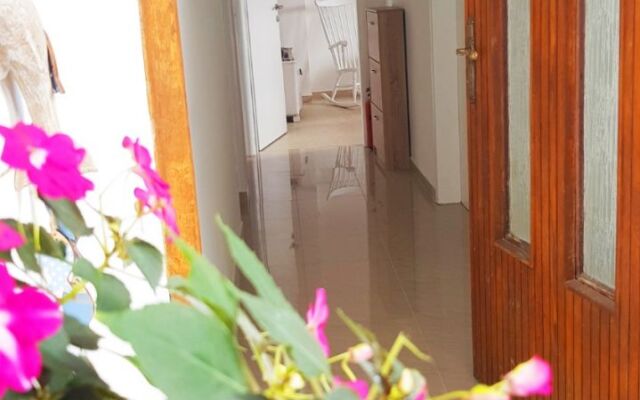 Apartment Mark A1 Crikvenica, Riviera Crikvenica