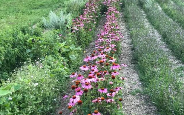 beb - casa vacanze San Gallo