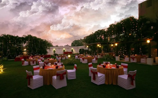 Golden Tulip