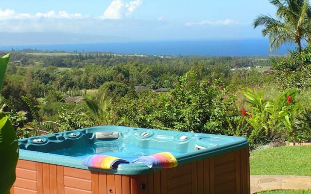 Adventure in Paradise