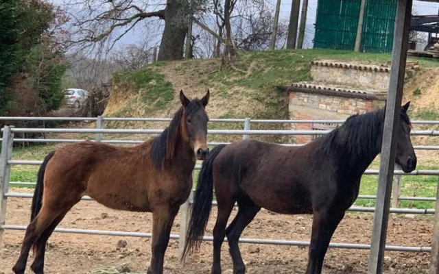San Costanzo Appartamenti Vacanze