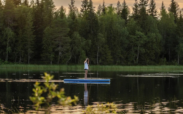 Metsä Kolo