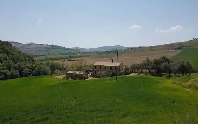 La Cicala