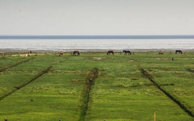 Dunenhuus Ost Modern Retreat