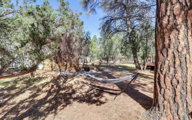 Rustic-modern Overgaard Cabin w/ Decks & Fire Pit!