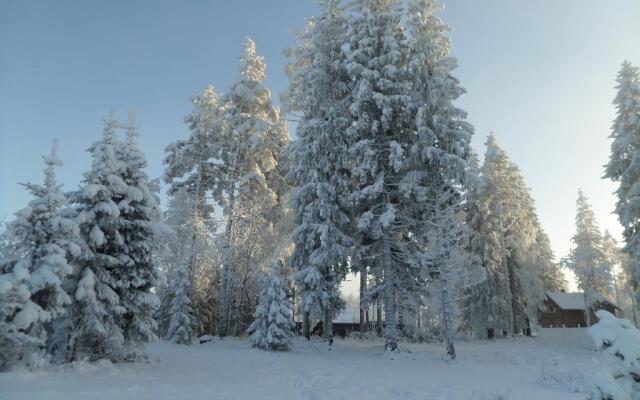 Guest House In Serebryaniy Bor