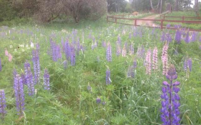 Bed & Balance Skansen