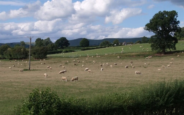 Quixhill - Denstone - Dove Meadow B & B