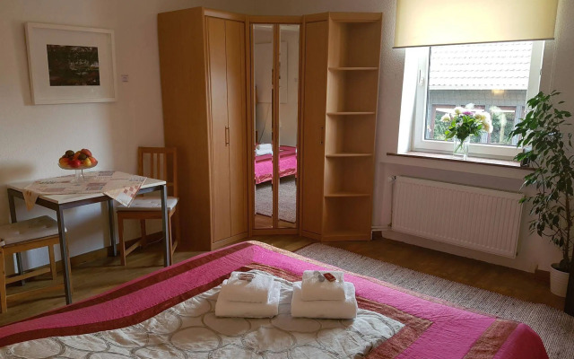 RheinRiver Guesthouse - Direkt am Rhein