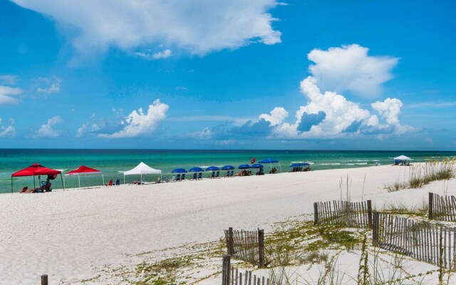 The Dunes of Seagrove