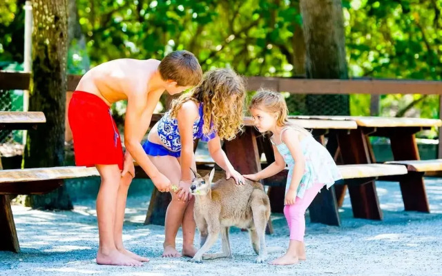 Coomera Houseboat Holidays