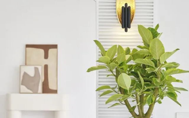 Muse Garden Guesthouse
