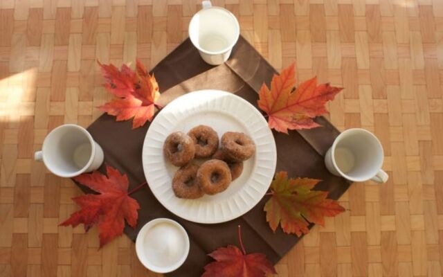 Danskammer House Bed & Breakfast