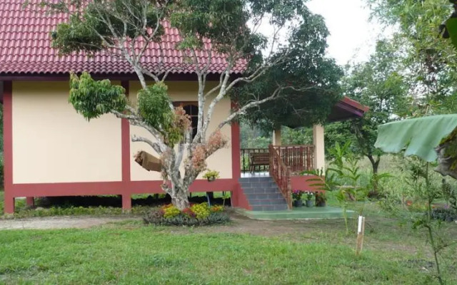 Suancha Tea Garden