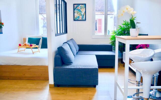 Oasis Au Coeur de Ville Sens (Adults Only)