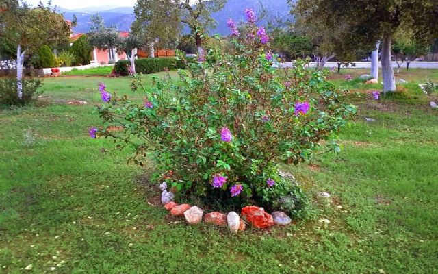 Villa Aelia - A Peaceful And Private Place