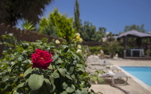 Ayia Napa Villa Napa Gardens