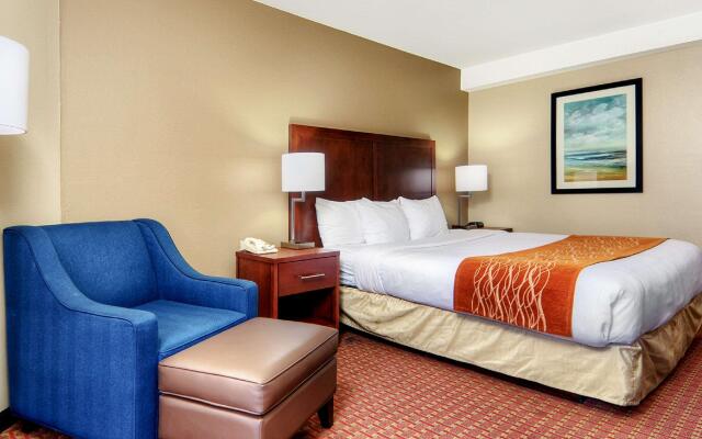 Comfort Inn Silicon Valley East