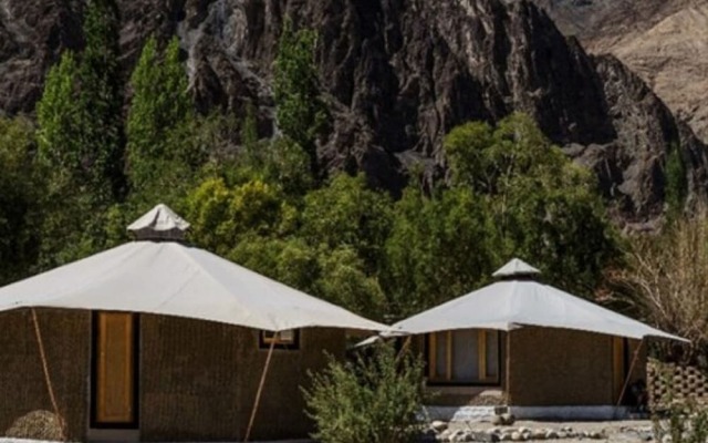 Chalet Seabuckthorn