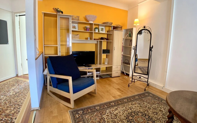 Bright 1BR Apartment City Center
