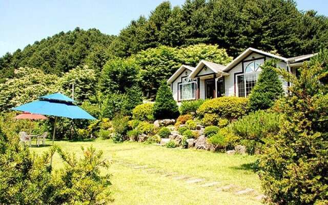 Seasonal Sky Pension