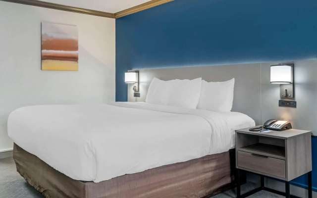 Comfort Inn Plainwell