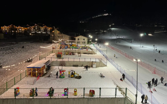 Bakuriani Hills Apartment