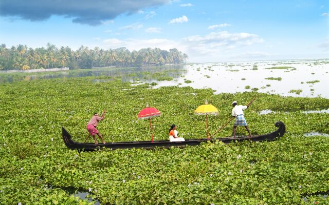 Purity at Lake Vembanad