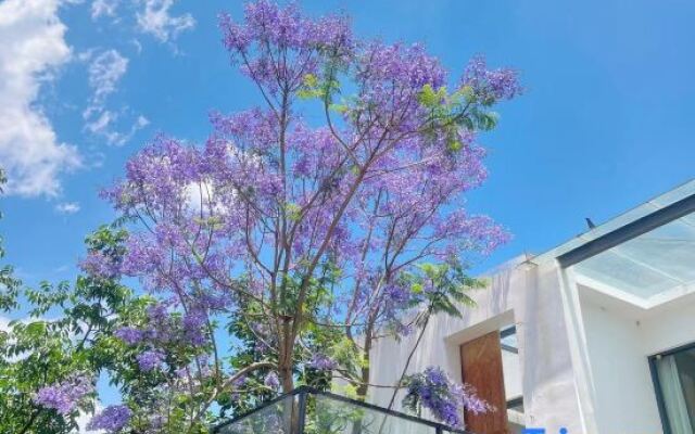 Po return. Slow talk