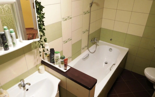 Apartment Boroví