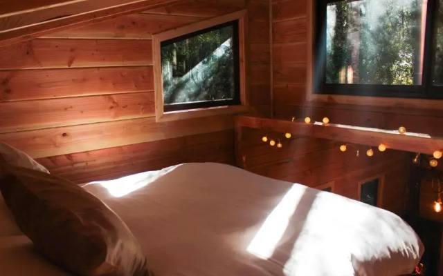 Cabanas Bosque Milenario