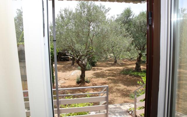 Araz - parking and barbecue - A2(3)
