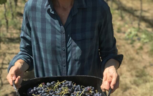 The Mudgee Homestead Guesthouse