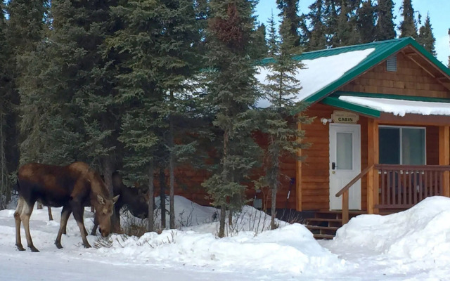 Salmon Catcher Lodge