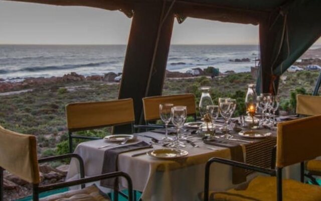 Chiefs - Namaqua Flower Camps