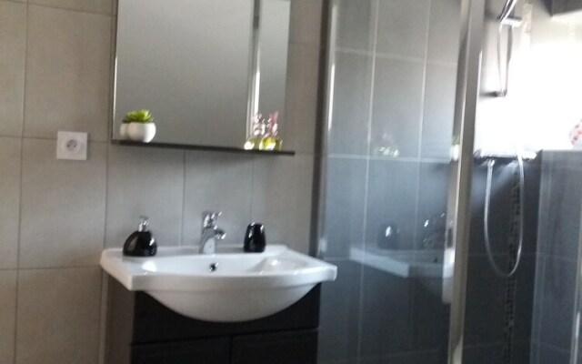 Les Oiseaux de Passage