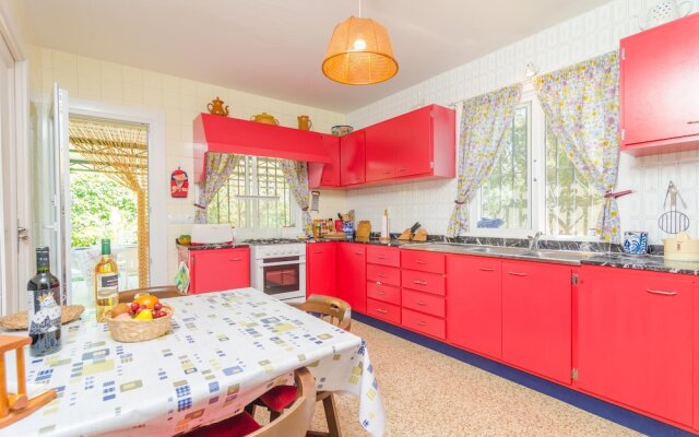 Torre Marina Alga Marina