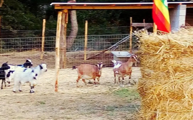 Antica Conca d'Oro