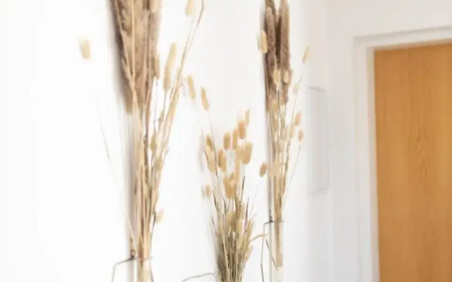 Apartmán v srdci Znojma „Jako doma“