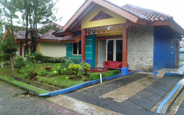 Villa Kota Bunga Aster