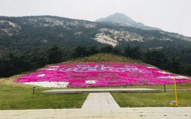 Memedee Manor Homestay