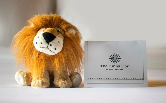 The Funny Lion El Nido