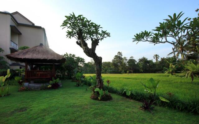 Byasa Ubud