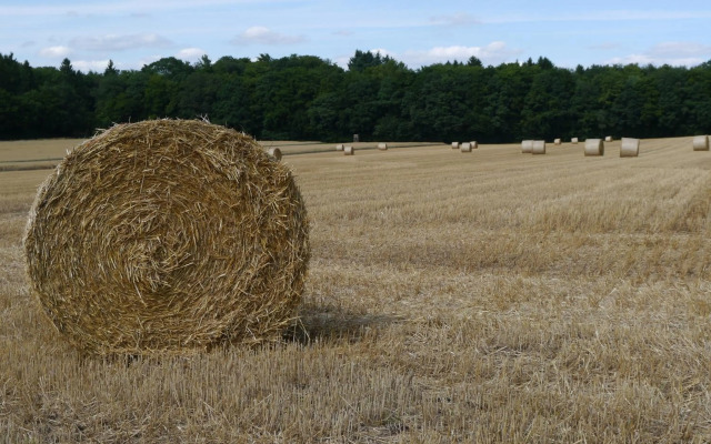 Rhein - Mosel Quartier 4
