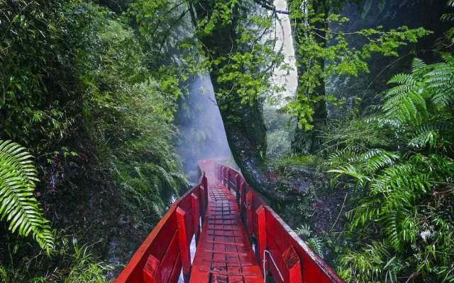 Casa Alto Palguin Pucón